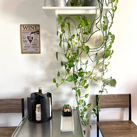 Appartement Eufonia Vinyl Friendly