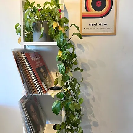 Appartamento Eufonia Vinyl Friendly Roma