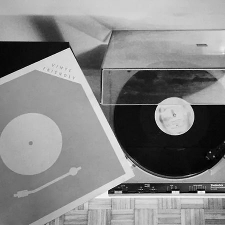 Eufonia Vinyl Friendly *
